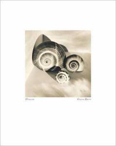 Three corners of this world