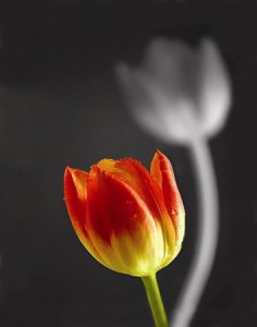 Are you ready to see what you don't like?