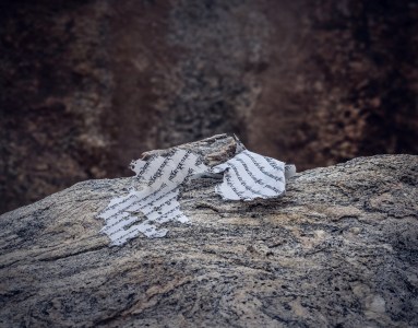 tn_20170619-DSC_0493